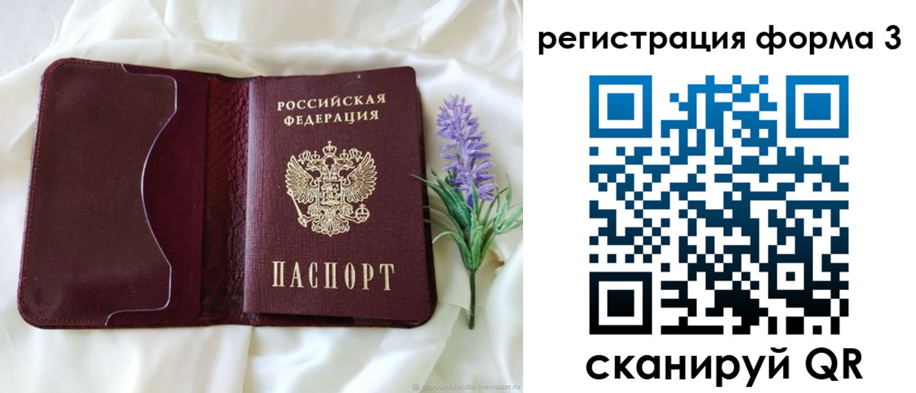 прописка для работы в Вязьме
